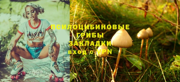 первитин Алексеевка