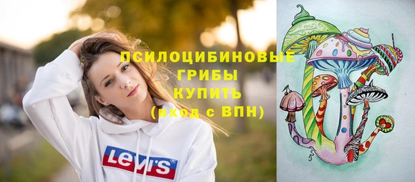 первитин Алексеевка