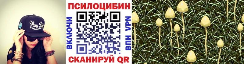 mega ТОР  Сольцы  Галлюциногенные грибы Psilocybe 