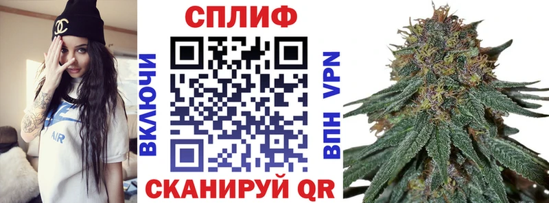 Конопля план  МЕГА зеркало  Сольцы 